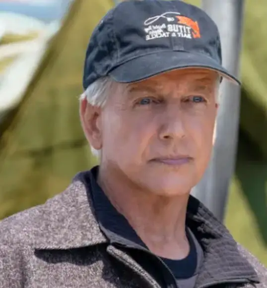 Mark Harmon taken retirement from acting