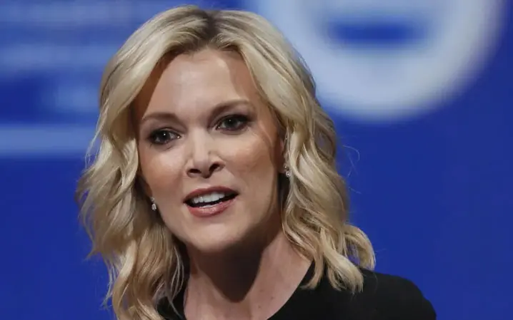 Megyn Kelly’s Outburst on ABC NEWS